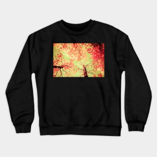 Color Drama Two Crewneck Sweatshirt